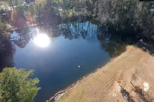 318 W Pond Ct, Lexington, SC 29073 - Photo 20