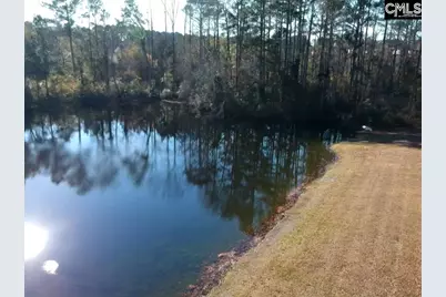 318 W Pond Court, Lexington, SC 29073 - Photo 22