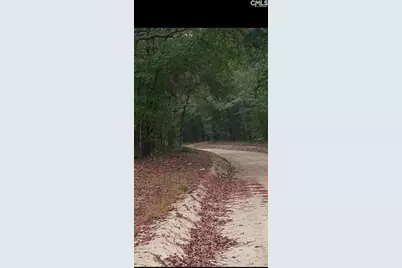 131 Rhinehart Street 131&amp;137 #16 T&amp;1, Orangeburg, SC 29118 - Photo 2