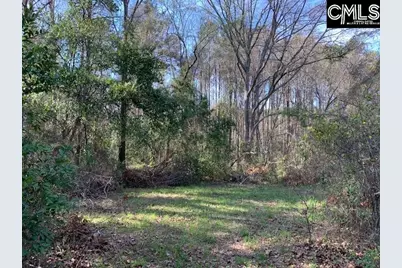 431 Main Street, Blythewood, SC 29016 - Photo 18