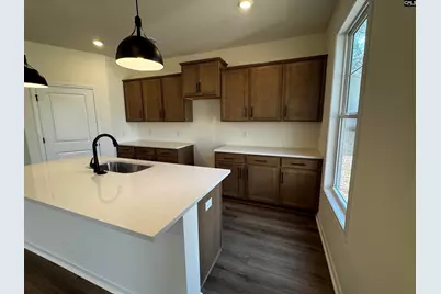 582 Griffon Drive, Chapin, SC 29036 - Photo 8