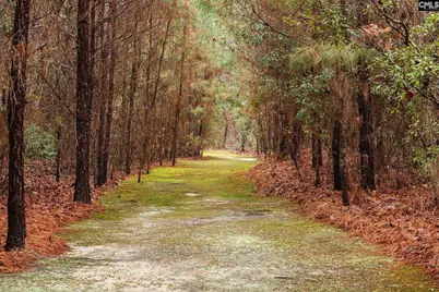 6447 Neeses Highway, Neeses, SC 29107 - Photo 80