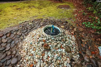 6447 Neeses Highway, Neeses, SC 29107 - Photo 94