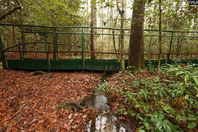 6447 Neeses Highway, Neeses, SC 29107 - Photo 88