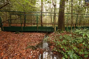 6447 Neeses Hwy, Neeses, SC 29107 - Photo 88