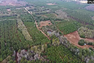 6447 Neeses Hwy, Neeses, SC 29107 - Photo 6