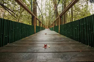 6447 Neeses Hwy, Neeses, SC 29107 - Photo 90