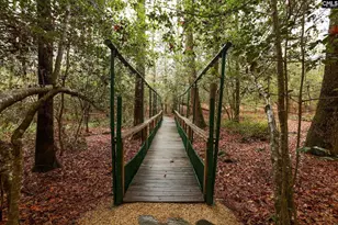 6447 Neeses Hwy, Neeses, SC 29107 - Photo 74