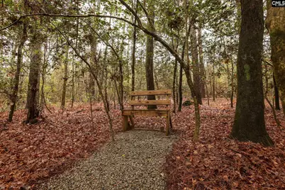 6447 Neeses Highway, Neeses, SC 29107 - Photo 76