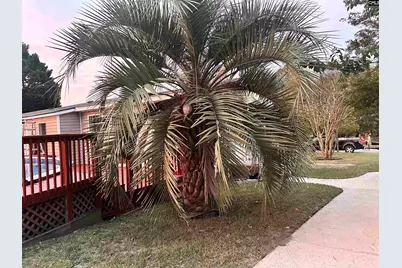 221 Bentgrass Lane, Gaston, SC 29053 - Photo 16