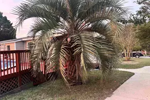 221 Bentgrass Ln, Gaston, SC 29053 - Photo 16