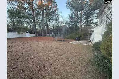 1009 Sweet Thorne Court, Irmo, SC 29063 - Photo 40