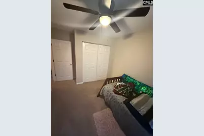 1009 Sweet Thorne Court, Irmo, SC 29063 - Photo 38