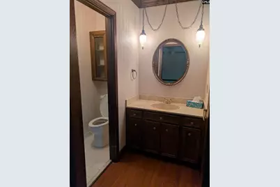 779 Hope Ferry Road, Lexington, SC 29072 - Photo 30