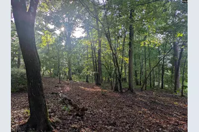 779 Hope Ferry Road, Lexington, SC 29072 - Photo 16