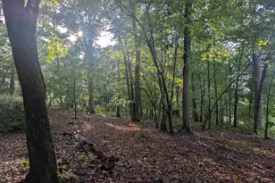 779 Hope Ferry Rd, Lexington, SC 29072 - Photo 16