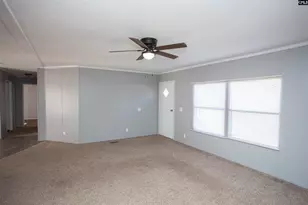 117 Chewning Rd, Bishopville, SC 29010 - Photo 6