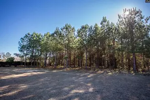 117 Chewning Rd, Bishopville, SC 29010 - Photo 30