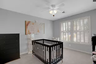 1152 Indian Summer Point, Chapin, SC 29036 - Photo 66