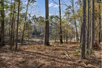 Navigator Trail #306, Prosperity, SC 29127 - Photo 4