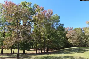 2137 Heritage Rd, Blackstock, SC 29055 - Photo 20