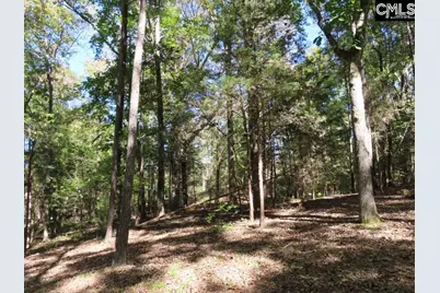 2137 Heritage Road, Blackstock, SC 29055 - Photo 16