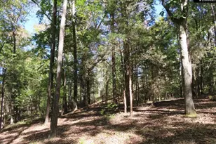 2137 Heritage Rd, Blackstock, SC 29055 - Photo 16