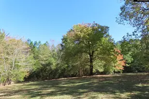 2137 Heritage Rd, Blackstock, SC 29055 - Photo 50