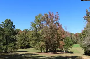 2137 Heritage Rd, Blackstock, SC 29055 - Photo 54