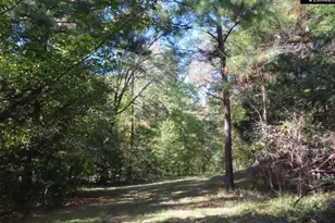 2137 Heritage Rd, Blackstock, SC 29055 - Photo 46