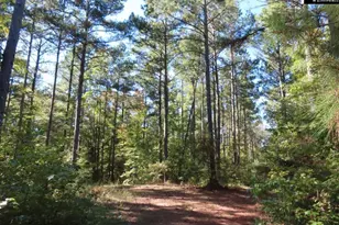 2137 Heritage Rd, Blackstock, SC 29055 - Photo 40