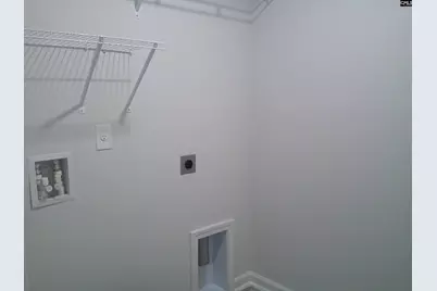 1425 Tamarind Lane, Chapin, SC 29036 - Photo 18