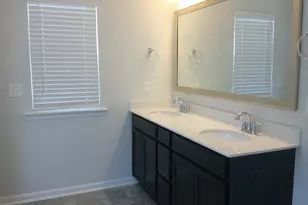 1425 Tamarind Ln, Chapin, SC 29036 - Photo 12