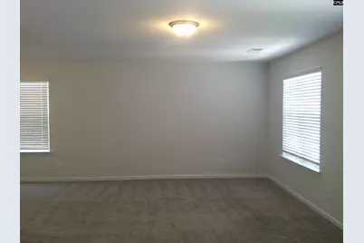 1425 Tamarind Lane, Chapin, SC 29036 - Photo 8