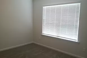 1425 Tamarind Ln, Chapin, SC 29036 - Photo 20