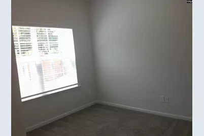 1425 Tamarind Lane, Chapin, SC 29036 - Photo 6