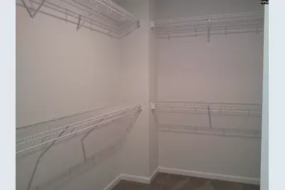 1425 Tamarind Lane, Chapin, SC 29036 - Photo 10