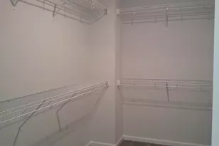 1425 Tamarind Ln, Chapin, SC 29036 - Photo 10