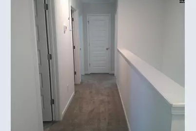 1425 Tamarind Lane, Chapin, SC 29036 - Photo 16