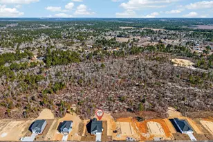 648 Old Charleston Rd, Pelion, SC 29123 - Photo 2