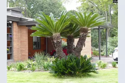 4 Woodhill Circle, Columbia, SC 29209 - Photo 4