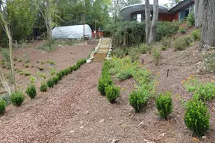 4 Woodhill Cir, Columbia, SC 29209 - Photo 30