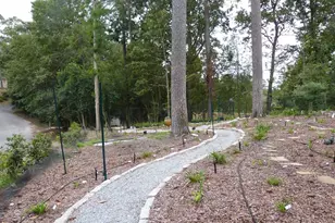 4 Woodhill Cir, Columbia, SC 29209 - Photo 44