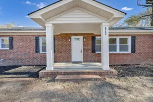 673 Clay Hill Rd, Pelion, SC 29123 - Photo 2