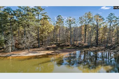 Ferry Phil Court #313, Prosperity, SC 29127 - Photo 10