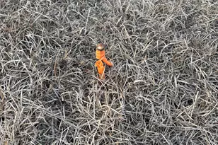 420 Old Wire Rd, West Columbia, SC 29172 - Photo 10