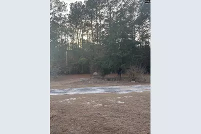 420 Old Wire Road, West Columbia, SC 29172 - Photo 2