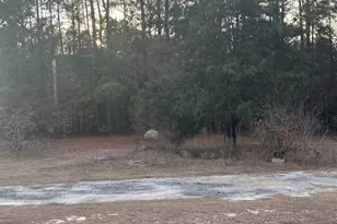 420 Old Wire Rd, West Columbia, SC 29172 - Photo 2