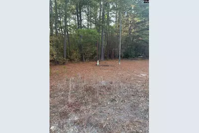 420 Old Wire Road, West Columbia, SC 29172 - Photo 6