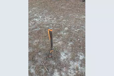 420 Old Wire Road, West Columbia, SC 29172 - Photo 4